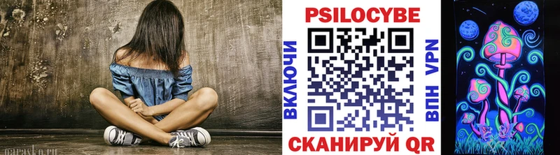 Псилоцибиновые грибы Psilocybe  Красный Сулин 